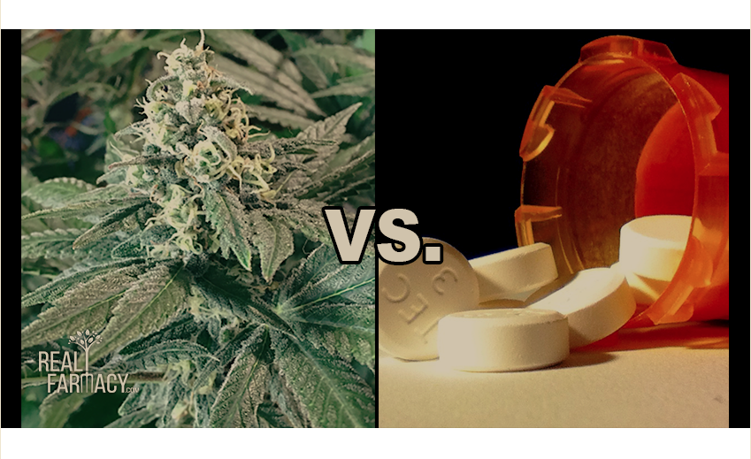 Cannabis vs. Pharmaceuticals: Study Shows Nearly Half of CBD Users Are Able to Stop Taking Pharmaceuticals