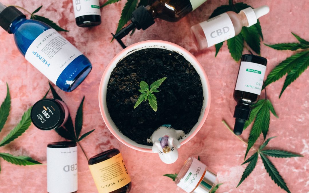 Benefits of CBD for Your Skin [Infographic]